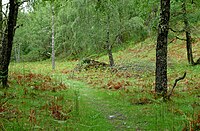 The cairn marks the site of the Glenmoriston Footprints. Glenmoriston2010a.jpg