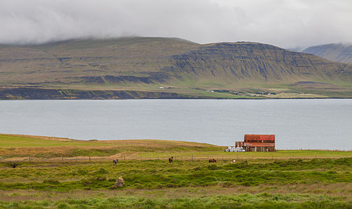 Scene of a farm building and icelandic horses in the Akranes peninsula, not far from Reykjavík and with the Hvalfjörður fjord in the background.