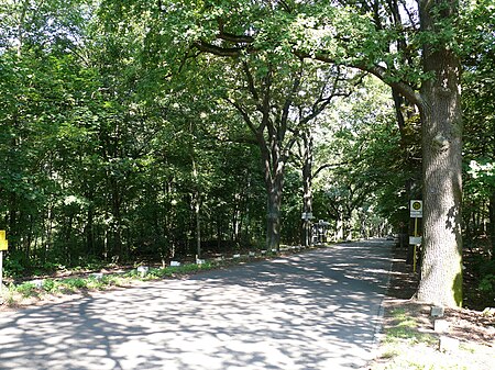 Grunewald Havelchaussee Haltestelle Grunewaldturm