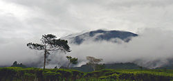 Gunung Gede in The Clouds.jpg