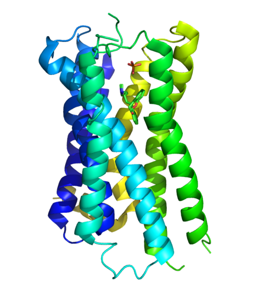 H1 Receptor with Doxepin.png