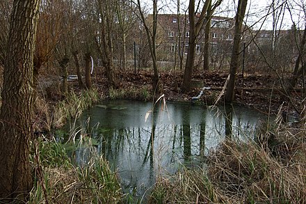 Facultative lagoon (polishing pond) providing tertiary treatment after a constructed wetland in Hamburg-Allermöhe, Germany