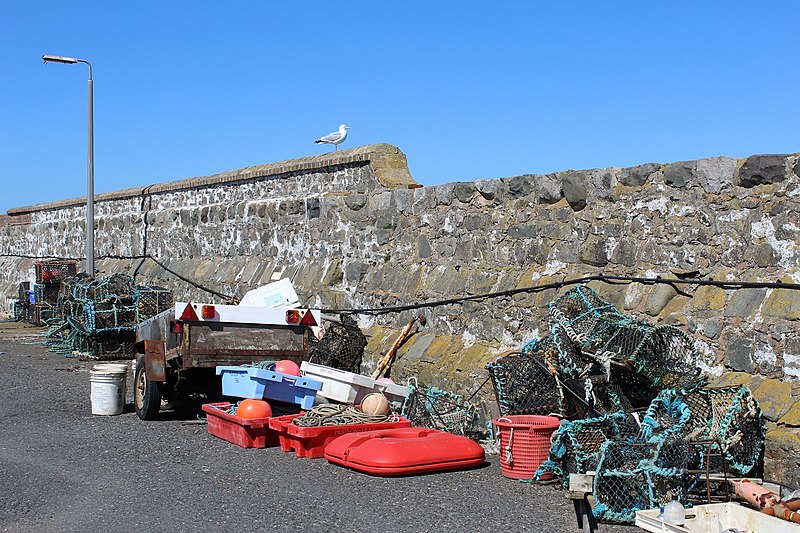 File:Harbour wall, Drummore - geograph.org.uk - 4445381.jpg