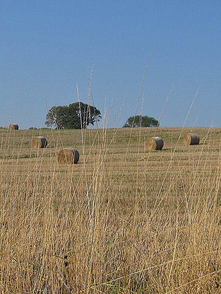 File:Harvest in and straw baled - geograph.org.uk - 2626156.jpg