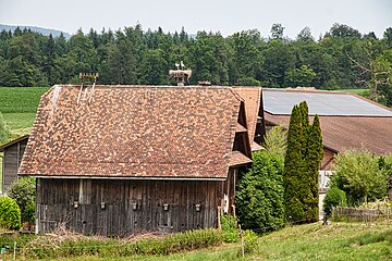 Storchennest in Hattwil (Gemeinde Cham)