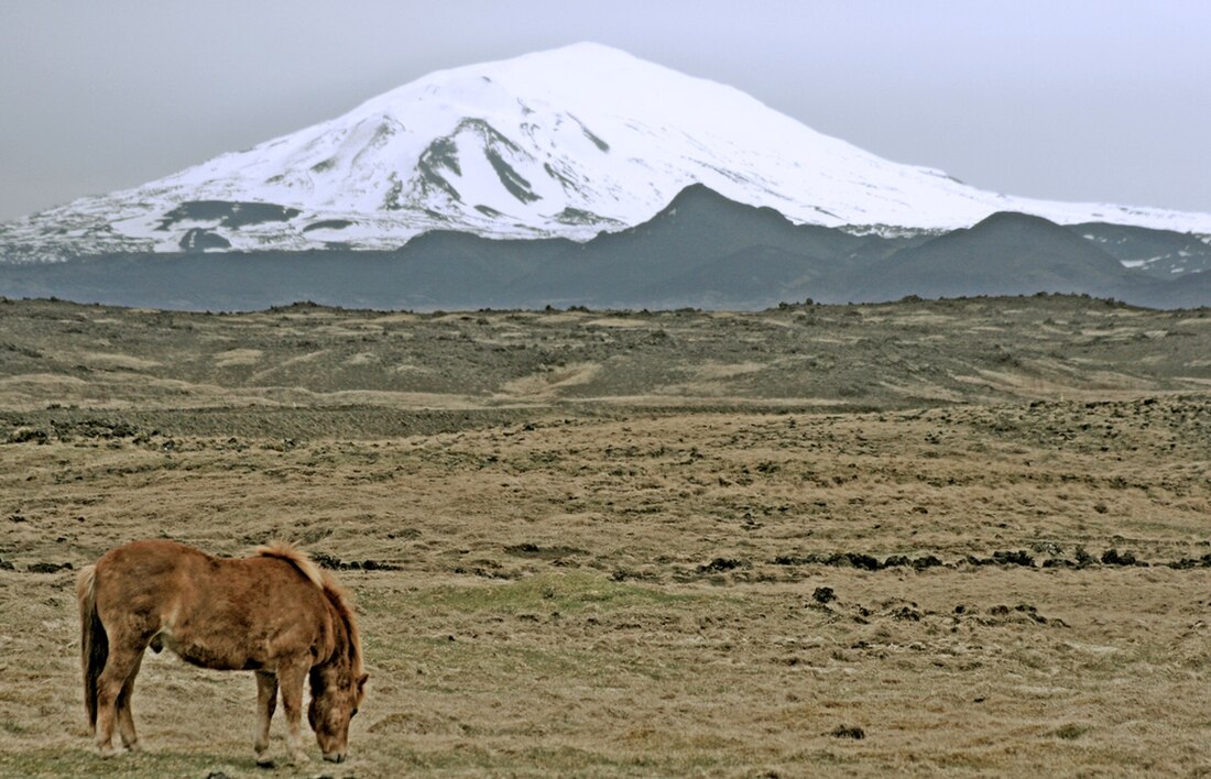 Llista de volcans d'Islàndia