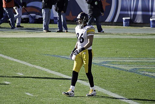 Hines Ward 2008