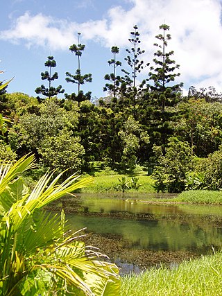 The Hoʻomaluhia Botanical Garden is a botanical garden 