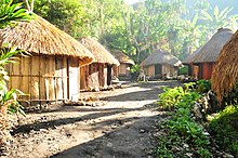 Honai Housing Complex Honai House Papua.jpg