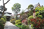 本光寺 (市川市)のサムネイル