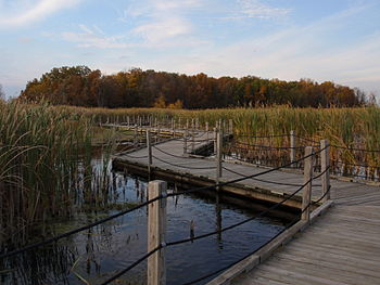 The Horicon Marsh in Wisconsin. Taken by User:...