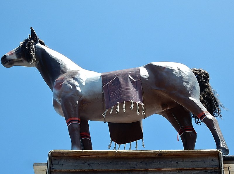 File:Horse on Bar (31406548711).jpg