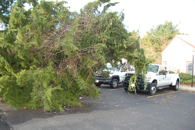 File:Hurricane Sandy hit the New Jersey Field Office (8141569630).jpg