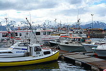 Hafen von Húsavík