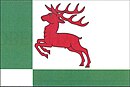 Drapeau de Hynčina