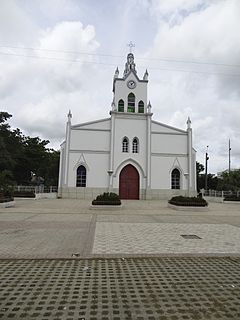 San Pelayo, Córdoba Municipality and town in Córdoba, Colombia