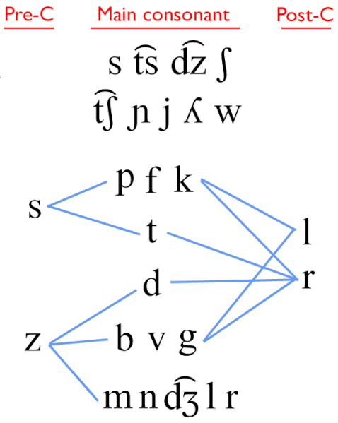 File:Italian syllable onset phonotactics diagram.gif