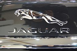 Jaguar