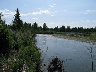 James River (Alberta) river in Alberta, Canada