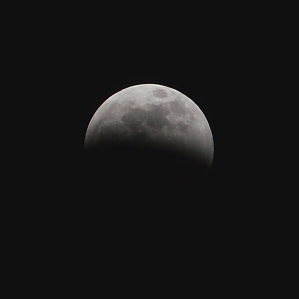 File:January 2019 Lunar Eclipse - Kitchener, Ontario 01.jpg