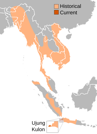 A jávai orrszarvú elterjedési területe;a narancsszínű az egykori, a vörös a jelenlegi terület