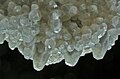 Spar crystals in Jewel Cave