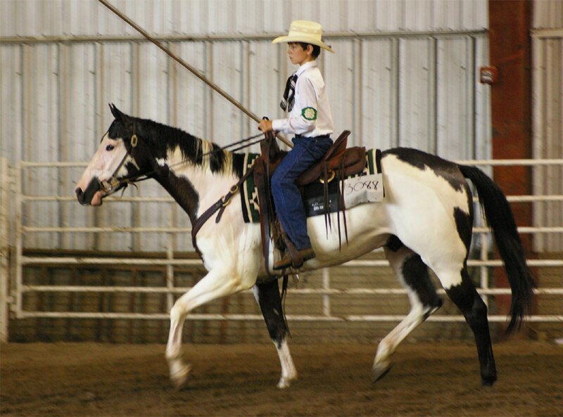 File:Jordan riding Trigger the Pinto horse (30 July 2008, Nebraska).jpg