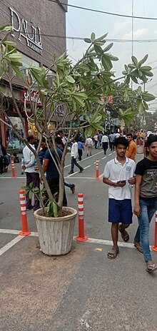 skechers in karol bagh