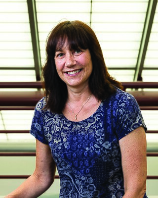 <span class="mw-page-title-main">Karren More</span> American materials scientist