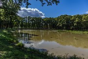 English: Kuncaŭščyna pond. Minsk, Belarus Беларуская: Стаў Кунцаўшчына. Мінск, Беларусь Русский: Пруд Кунцевщина. Минск, Беларусь