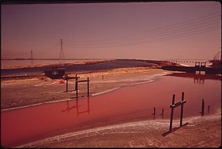 <span class="mw-page-title-main">Leslie Salt</span> Salt-producing company based in the San Francisco Bay area