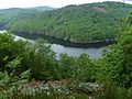 Lac de Guerlédan ja Quénécanin metsää