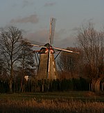 Lieshout molen Vogelenzang.jpg