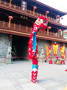 Lion dance