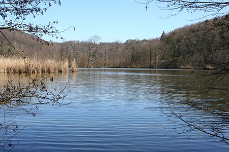 Loewenstein Bleichsee 20070313