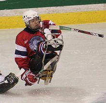 Loyd Remi Johansen, VM Ostrava 2009 (dipotong).JPG