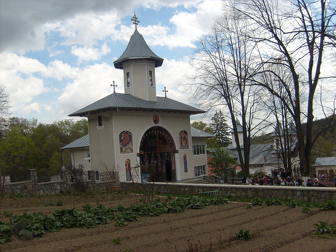 Mănăstirea Crasna (județul Prahova)