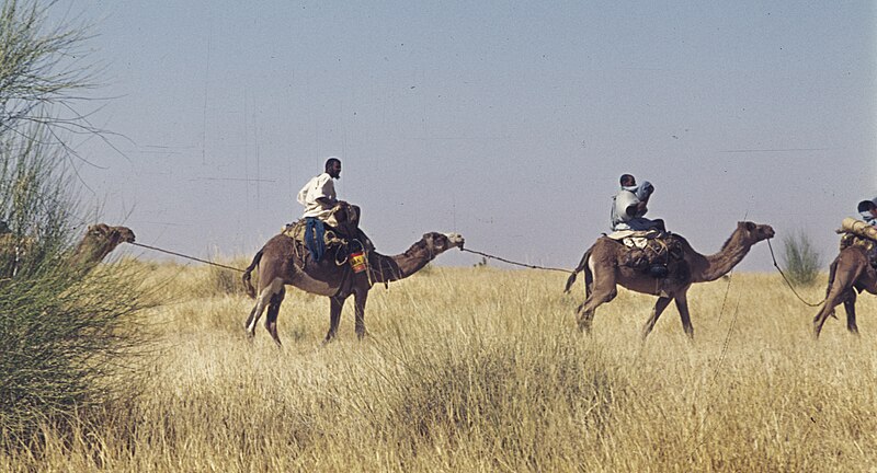 File:Mali1974-157 hg.jpg