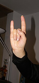 Sign of the horns Hand gesture