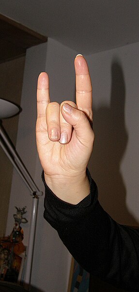 File:Hand - Middle finger.jpg - Wikipedia