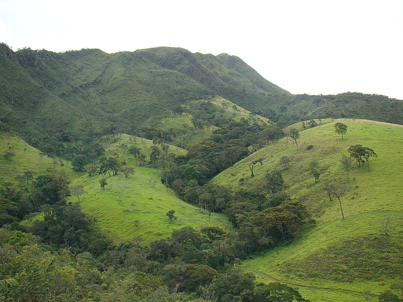 File:Mata ciliar na Cachoeira do Cerradão.jpg