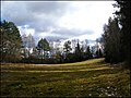 Meadow - panoramio - Laima Gūtmane (simka….jpg
