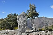 Menir do Col de Bès (HDR) .jpg