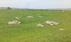 Menhirs near Zlatna niva Iz3.jpg