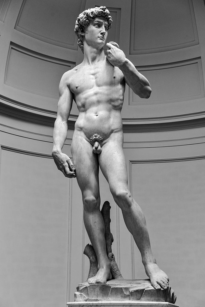 https://upload.wikimedia.org/wikipedia/commons/thumb/8/8a/Michelangelo%27s_David_1.jpg/683px-Michelangelo%27s_David_1.jpg