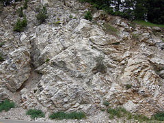 Mississippian marble in Big Cottonwood Canyon
