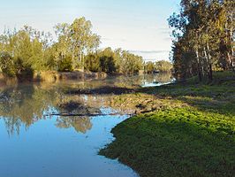 De Maranoa River bij Mitchell