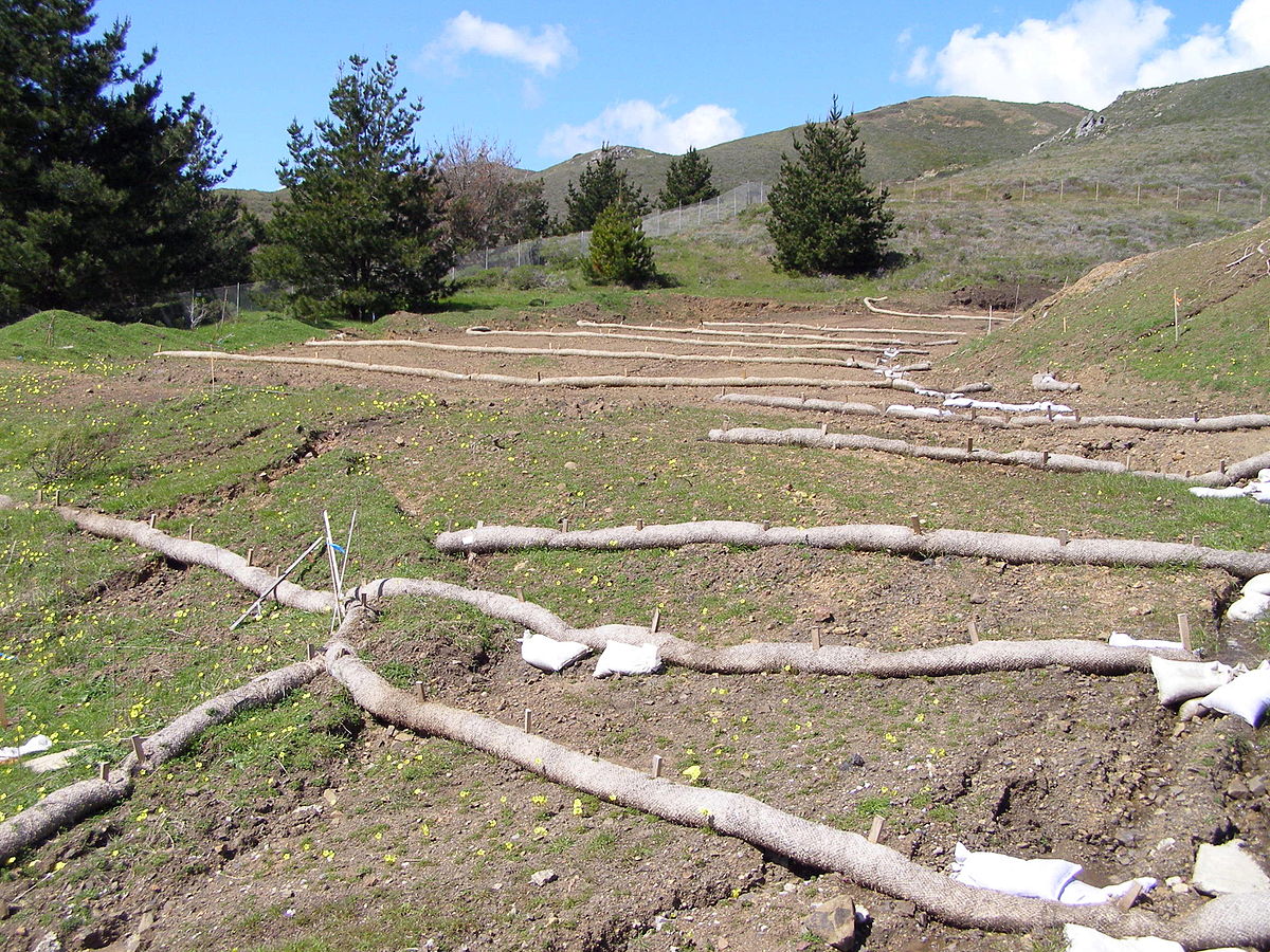 Hydroseeding