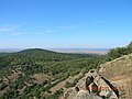 Vârful Jalbă (382 m)
