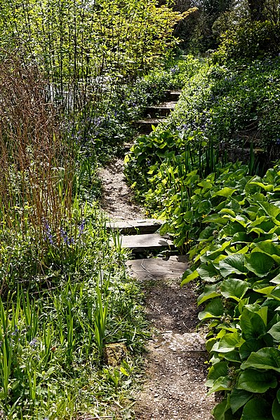 File:Myddelton House garden, Enfield, London ~ Lakeside path and steps 01.jpg